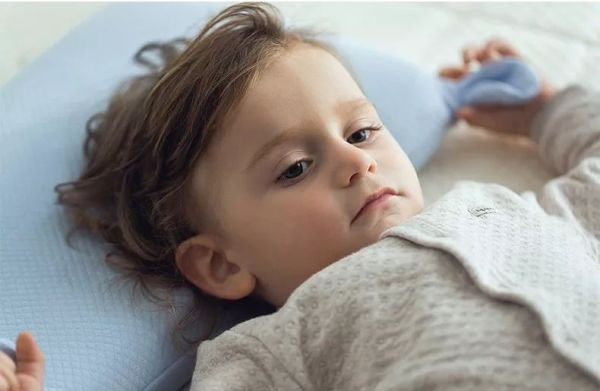 清风计划项目,清风计划靠谱吗