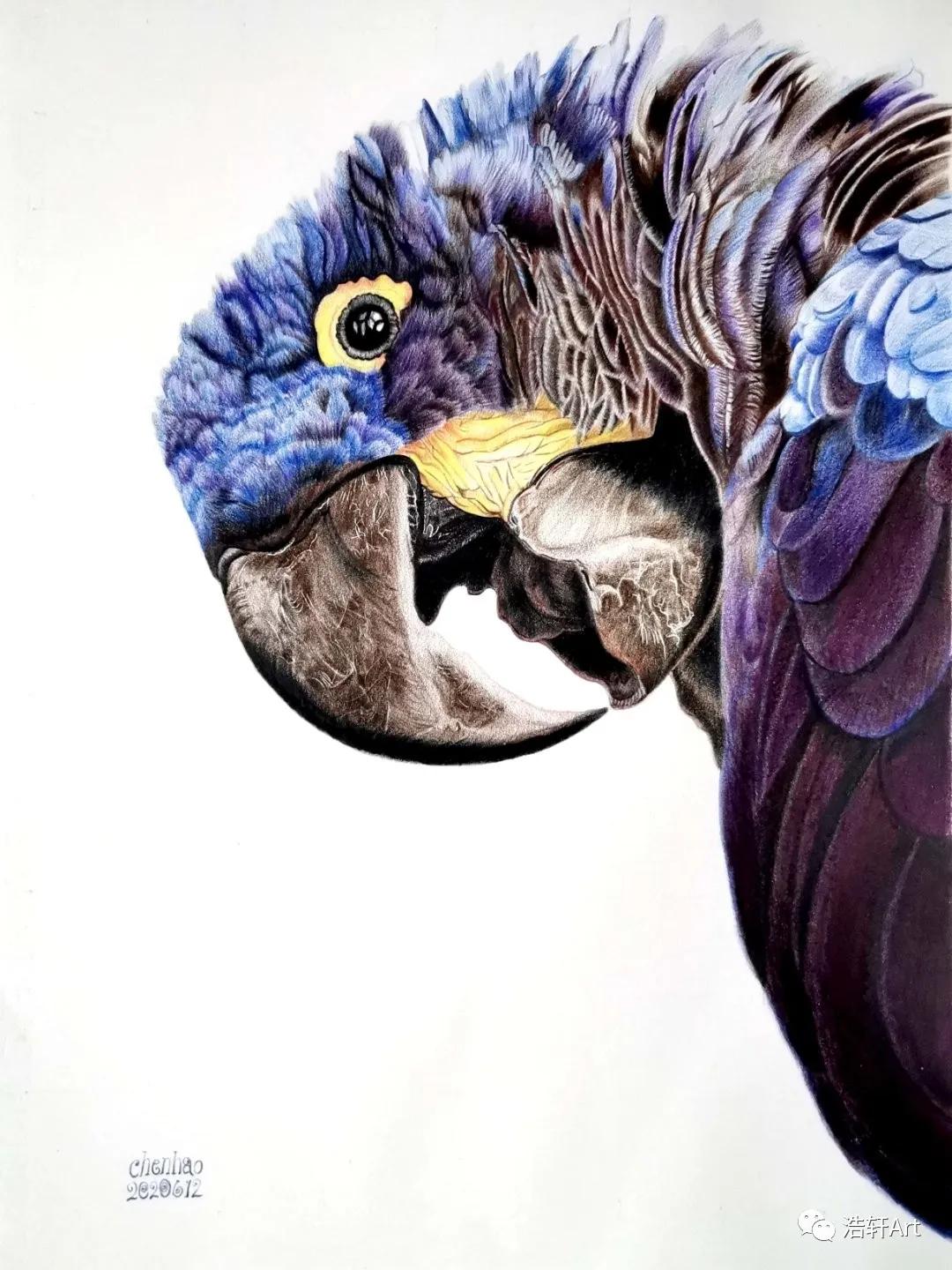 心中有画到哪里都是风景,心中有画绘画教程