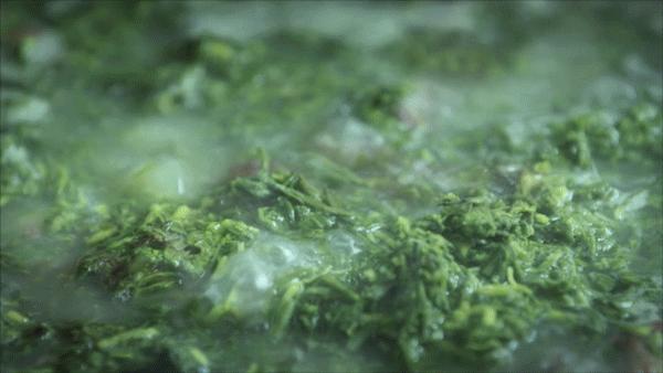 夏季苦夏如何调理,夏季吃5种苦味食物胜过进补