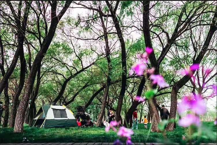 “最美复兴，为‘景’而来”——摄影及抖音大赛火热来袭！