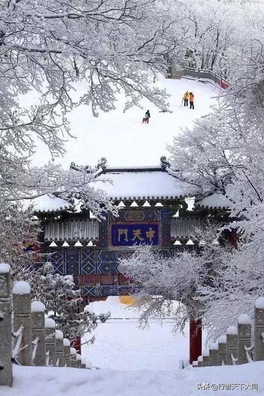 白话文阅读理解,早期白话诗的局限性