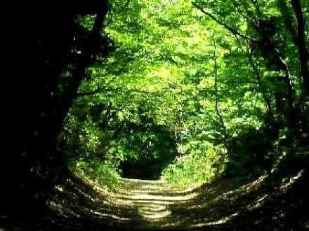 现实中宫崎骏的童话世界,穿越宫崎骏世界