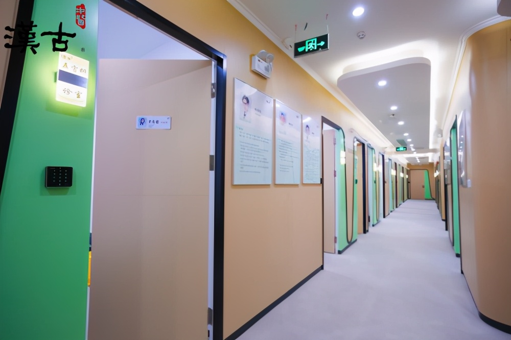 健康中医饮品,最近火的中药养生奶茶