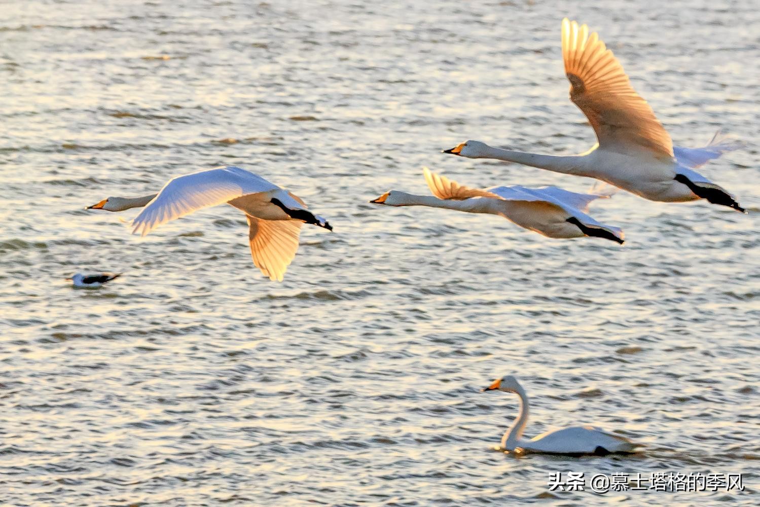 中国北方最美的两个海滨城市,中国沿海气候最好的城市