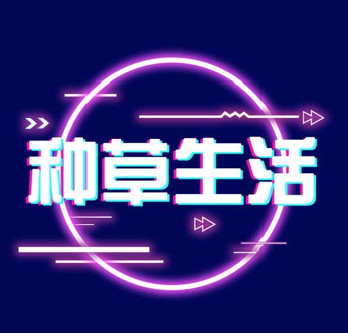 鸿星尔克最贵价格,鸿星尔克真实成交价多少钱