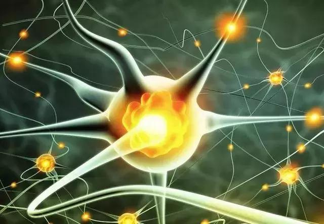 三文鱼给宝宝吃有什么好处,北极贝和三文鱼哪个营养高