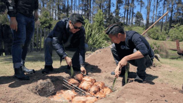 关于新西兰有趣的事,关于新西兰的简短介绍