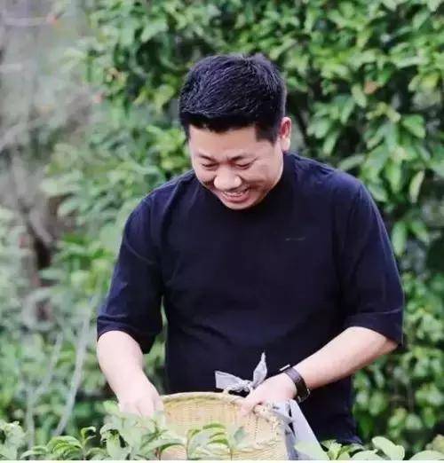 好记星背背佳8848小罐茶,背背佳好记星