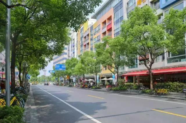 上海杨浦区最新发展规划,大局已定未来五年咋样