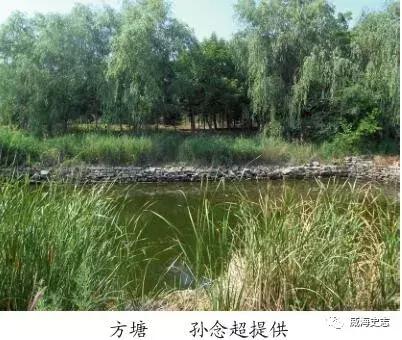 威海环翠区羊亭集市时间,威海环翠区羊亭上炉村
