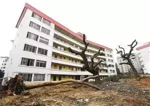 深圳一个值得一生回忆的城市,深圳一座让人伤心的城市