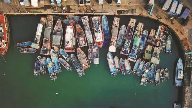 深圳一个值得一生回忆的城市,深圳一座让人伤心的城市