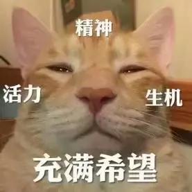 去泰国现金没带够会被遣返吗,泰国入境没带够现金怎么办