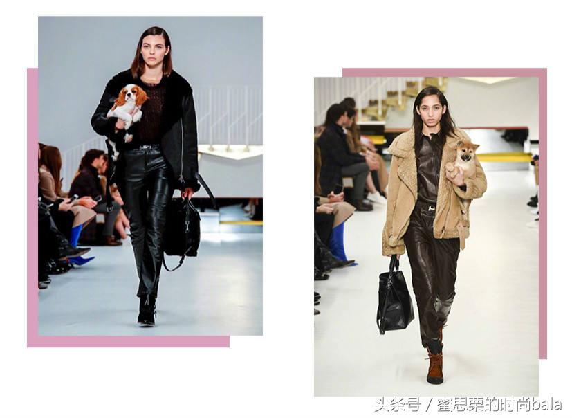 2019秋冬gucci时装周视频,2019秋冬gucci时装周