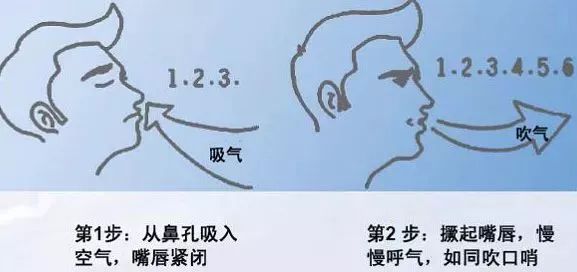 花粉过敏怎么赏花,踏青赏花正当时花粉过敏怎么办