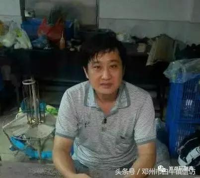 肖纪红||怀念羊