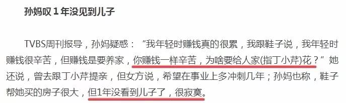 卖假货被抓女明星,丁小芹卖假货事件