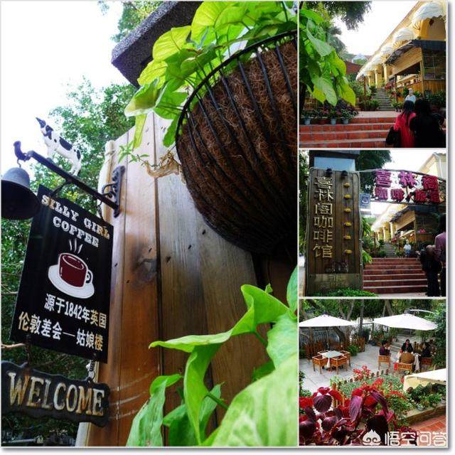 厦门可以看海的鼓浪屿附近的民宿,在厦门鼓浪屿有一百元的民宿吗