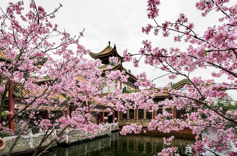 深圳2小时内周边自驾游,深圳爬山看海攻略旅游线路