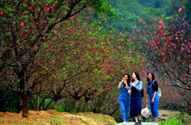 深圳2小时内周边自驾游,深圳爬山看海攻略旅游线路