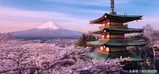 哪些国家已经进杭州了,都有什么国家来杭州