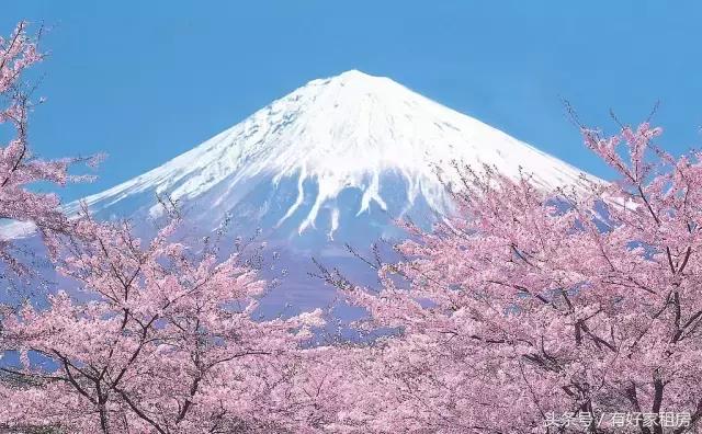 哪些国家已经进杭州了,都有什么国家来杭州