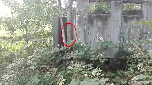 脏东西越臭越凶灵异事件,民间灵异故事小孩篇