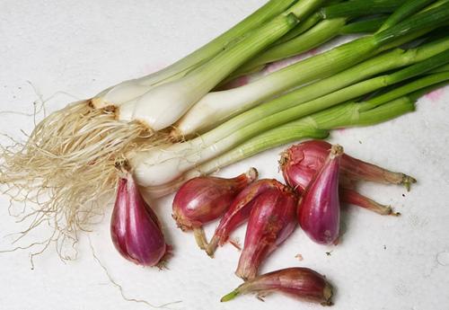 厨房烧焦的烟熏味怎么清除,生活常识巧妙去除异味