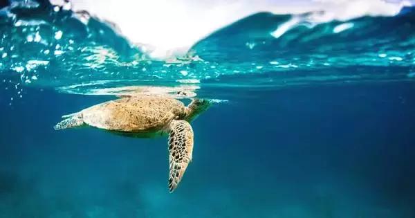 马来西亚十大隐藏小岛,马来西亚必去的地方推荐