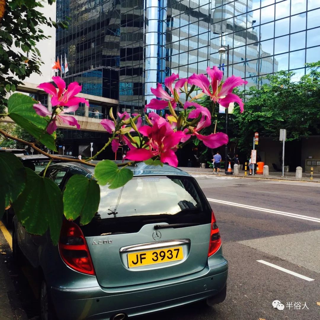 香港只能7天去一次吗,香港去深圳一年可以去几次