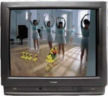 当你嘲笑8848不懂手机时，8848嘲笑你不懂社会