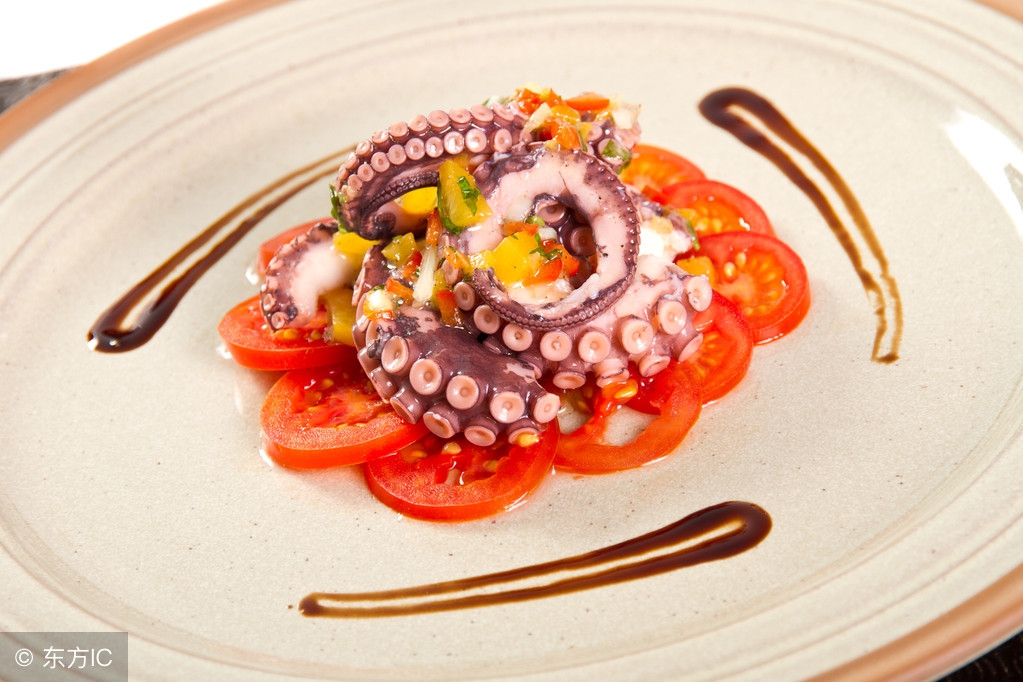 章鱼外形特征和运动方式,章鱼一种最接近地球外生命的生物