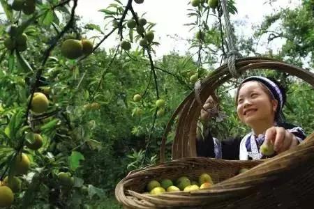 整个贵州省最好吃的东西,贵州铜仁美食排行榜前十名