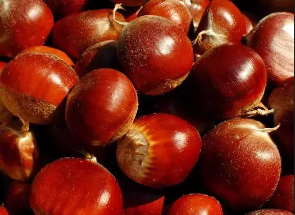 整个贵州省最好吃的东西,贵州铜仁美食排行榜前十名