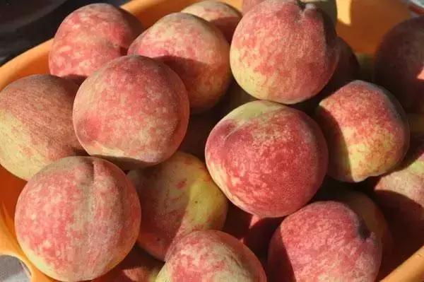 整个贵州省最好吃的东西,贵州铜仁美食排行榜前十名