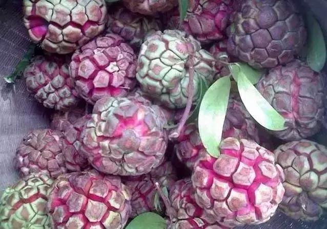 整个贵州省最好吃的东西,贵州铜仁美食排行榜前十名