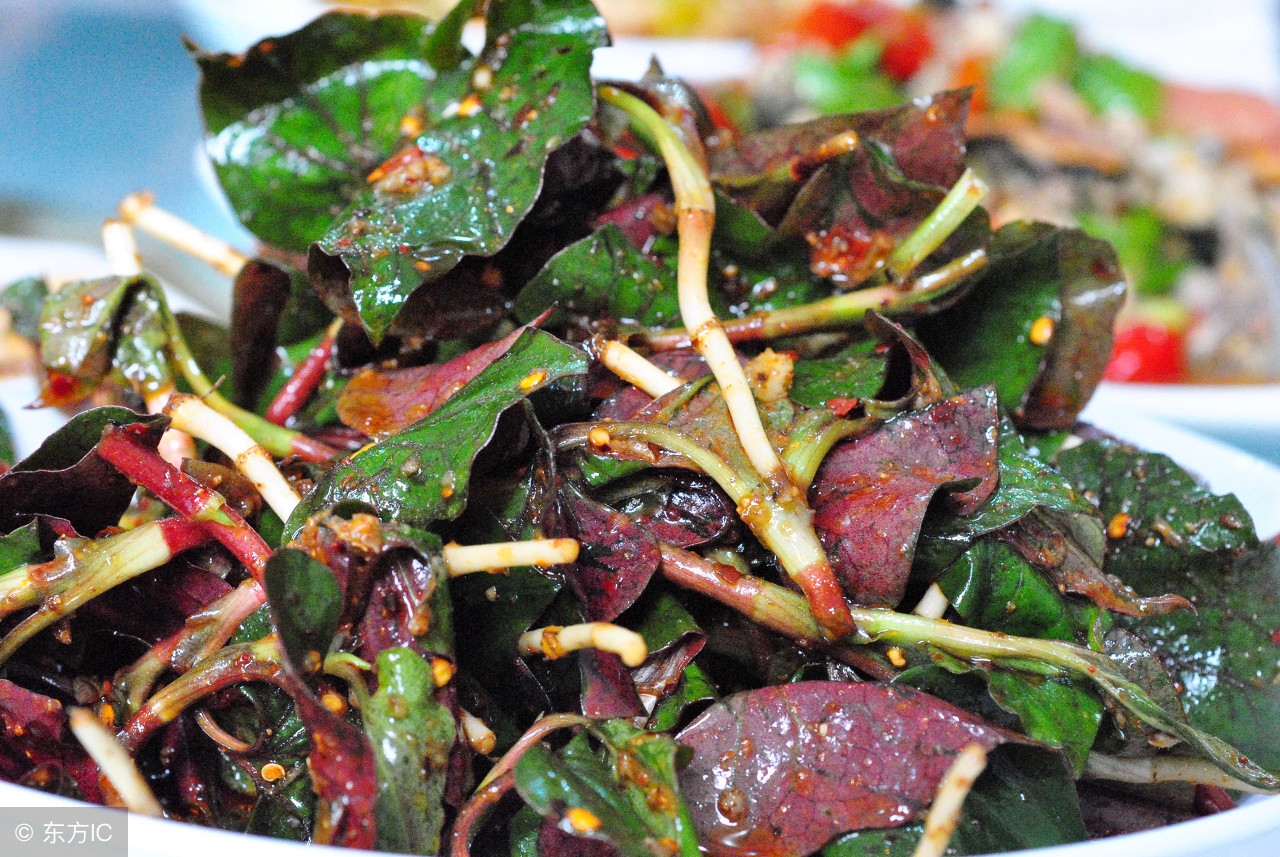 农村这种草毫不起眼,农村这种不起眼的植物