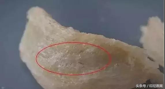 燕窝刷胶对比图,燕窝刷胶泡发后的样子