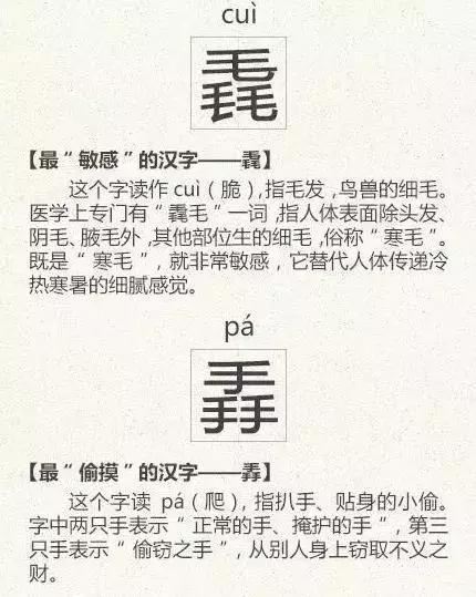 看到这些汉字，我感觉自己的语文白学了！