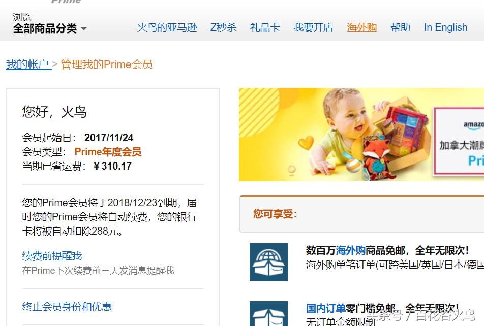 海淘新手入门基础教程,海淘新手入门教程免费