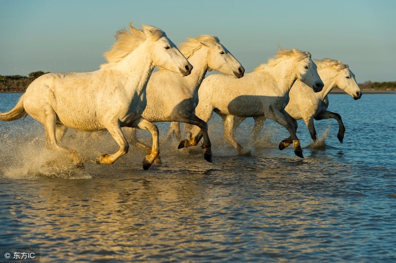 关于马靠奋蹄翻山岭的对联,单人独马的对联