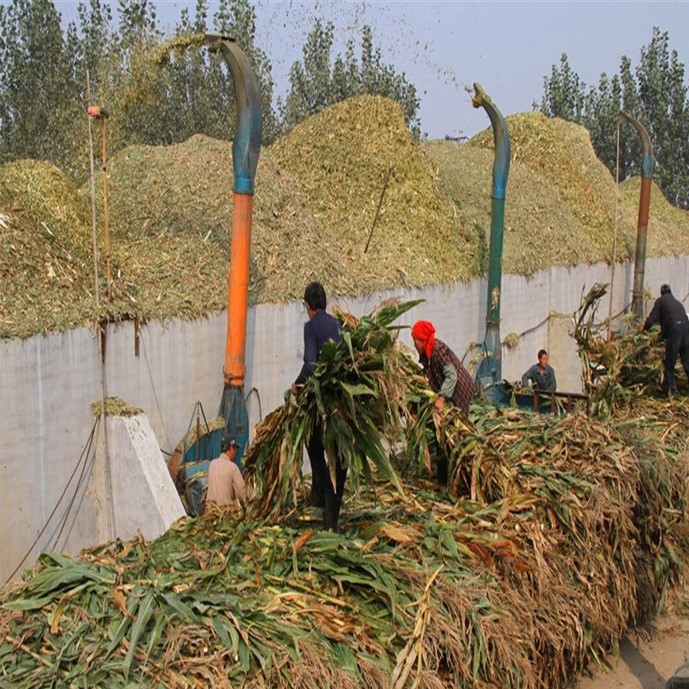 5种适合农村人创业的小投入项目,创业致富项目农村种什么赚钱