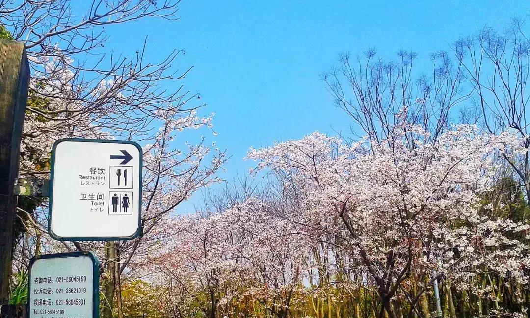 上海地铁最新换乘首末班车时刻表,2023上海地铁末班车时间