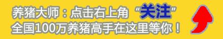 仔猪腹泻的原因及治疗方法,仔猪腹泻防治现状