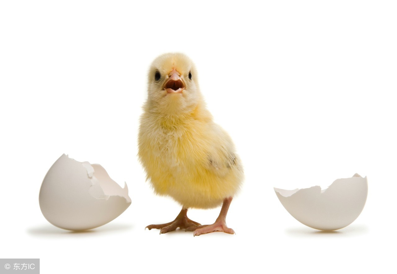 去英国为什么要带伞,英国出行需要关注什么