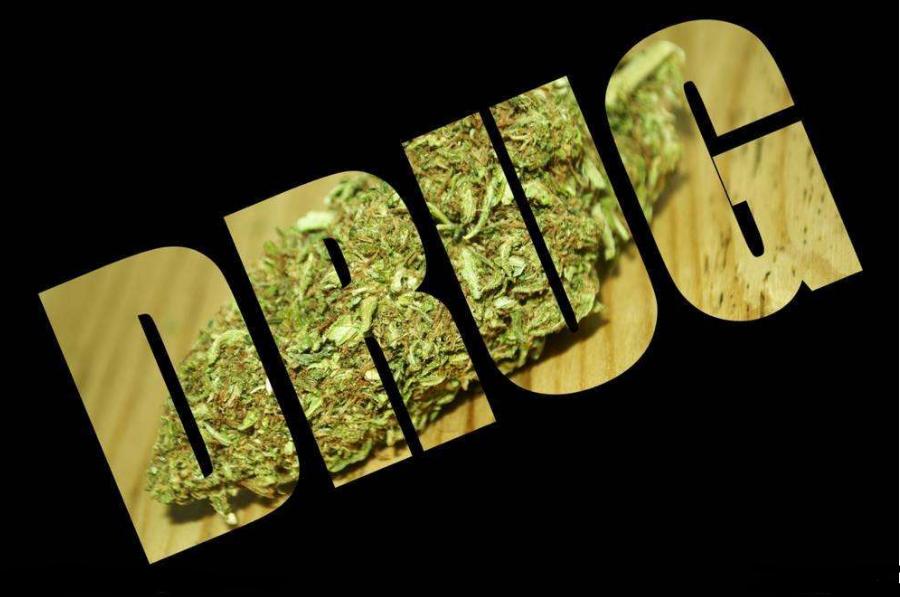 麻椒果泡酒的功效与作用,野生山大麻子泡酒功效