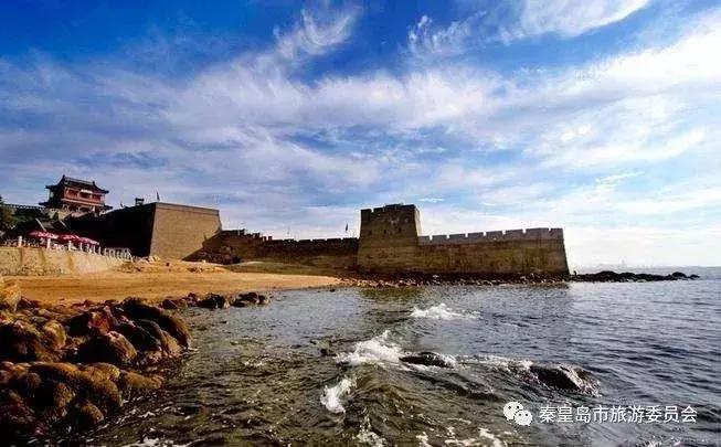 秦皇岛9月份观鸟,秦皇岛一天最佳观鸟时间