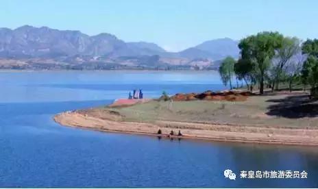 秦皇岛9月份观鸟,秦皇岛一天最佳观鸟时间