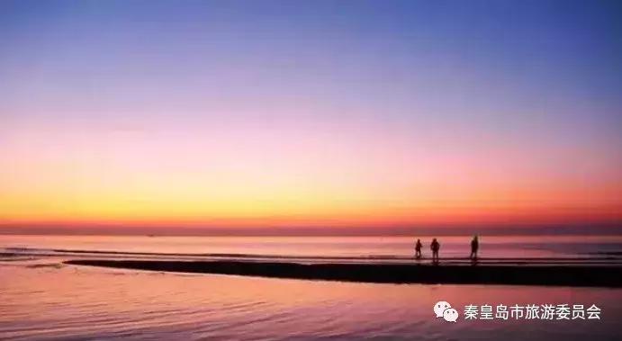 秦皇岛9月份观鸟,秦皇岛一天最佳观鸟时间