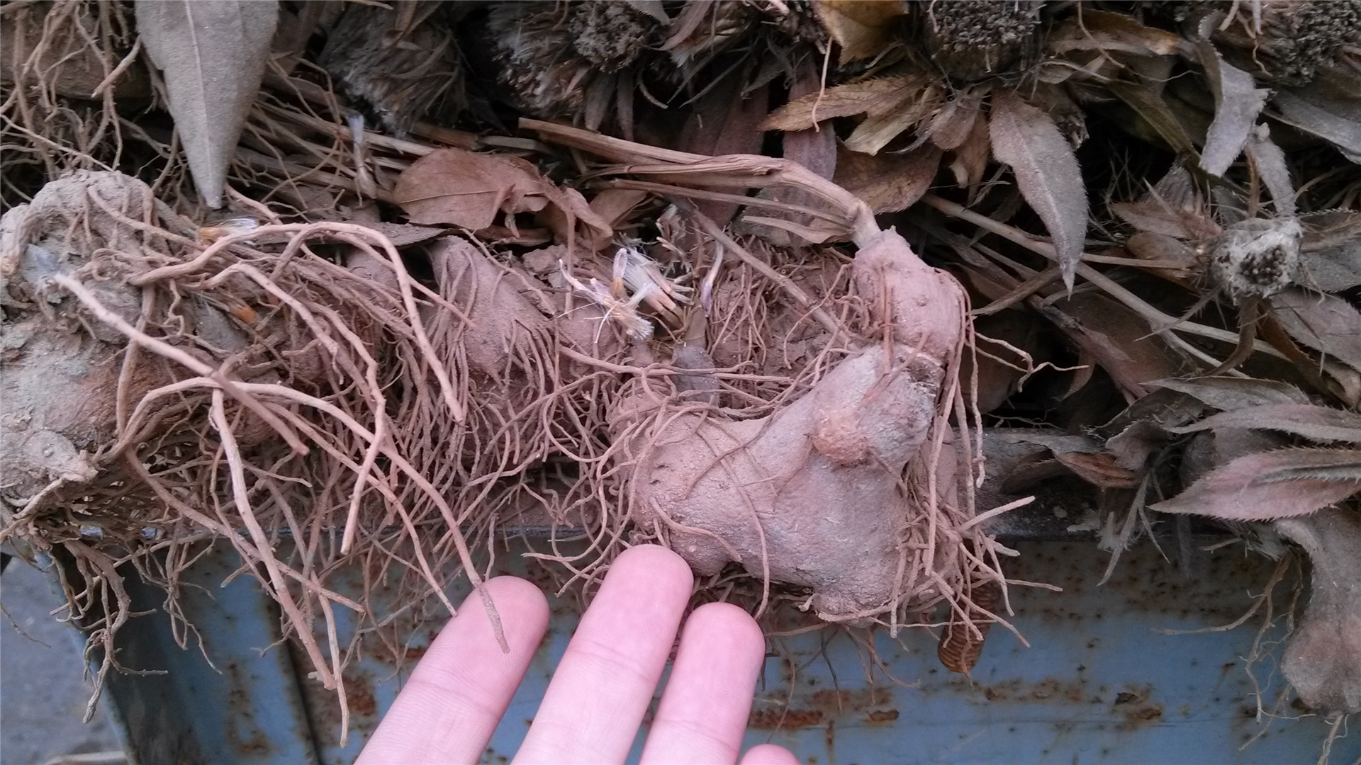 春耕购种要关注什么,春耕买农资关注什么